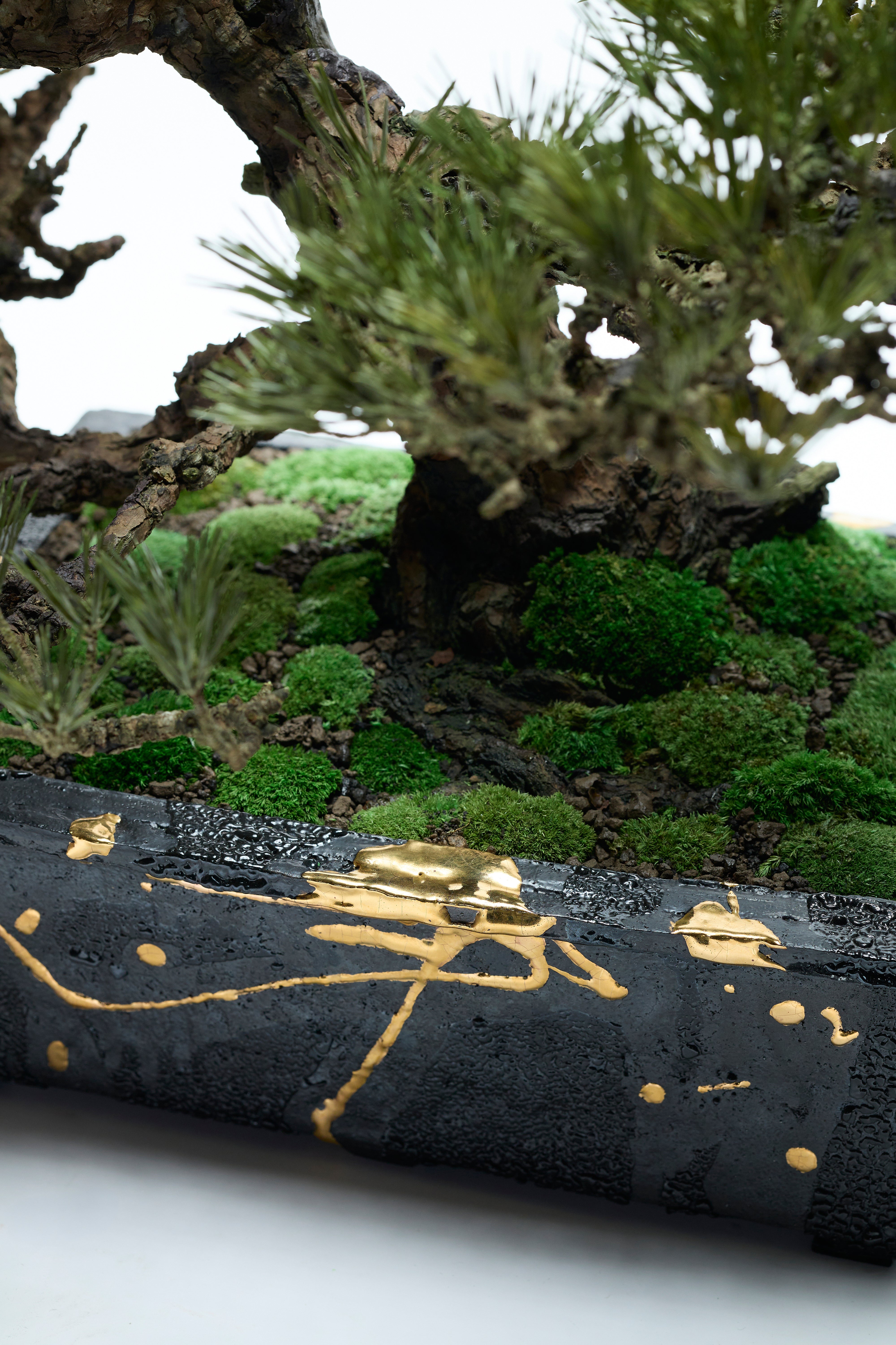 黒松｜bon. No.001